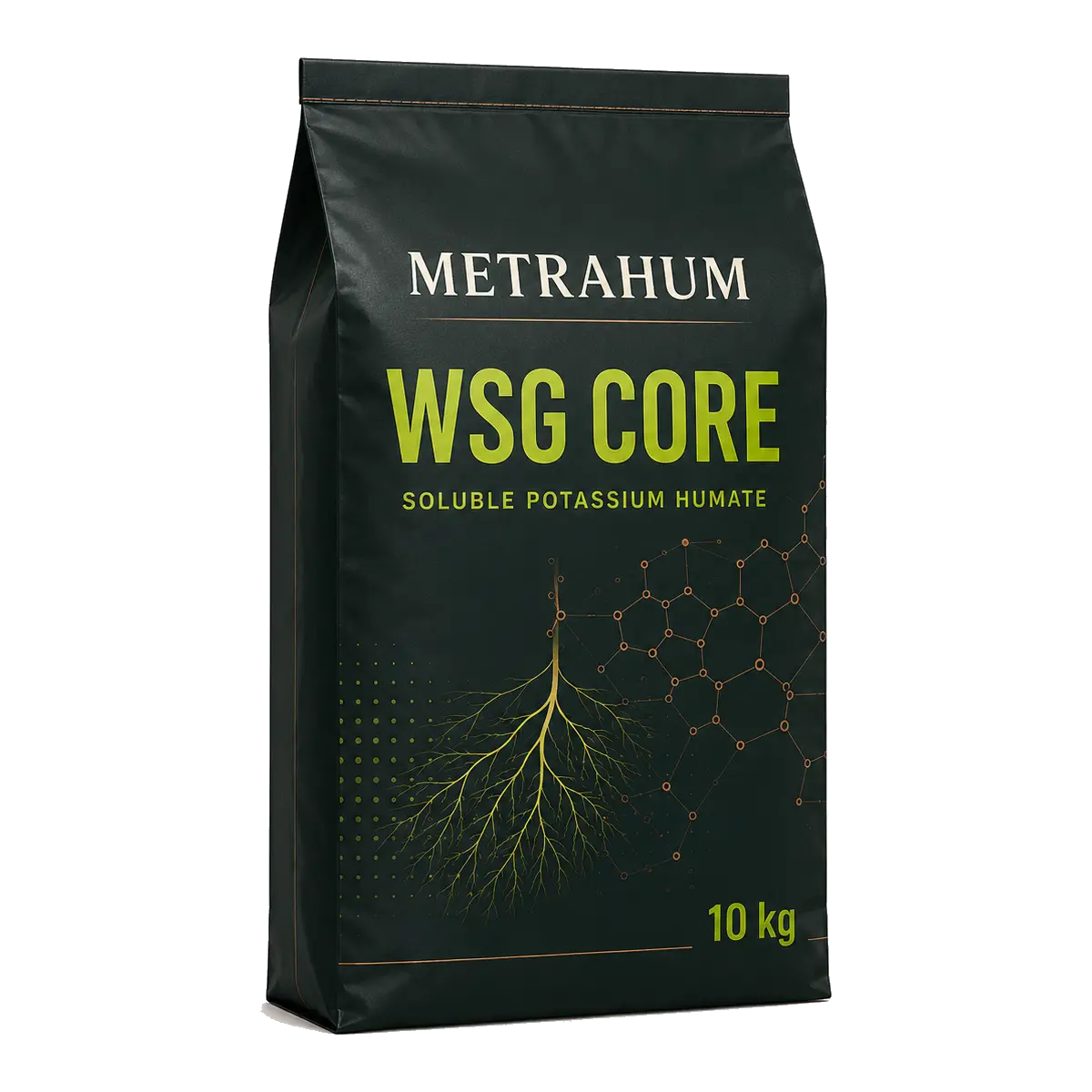 WSG Core 1 · 5 · 10 · 20 kg